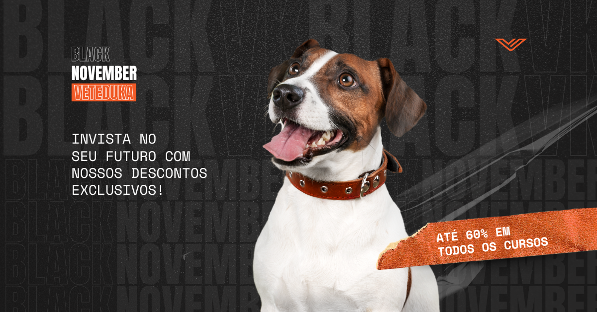 Black-November-Geral-Wide3