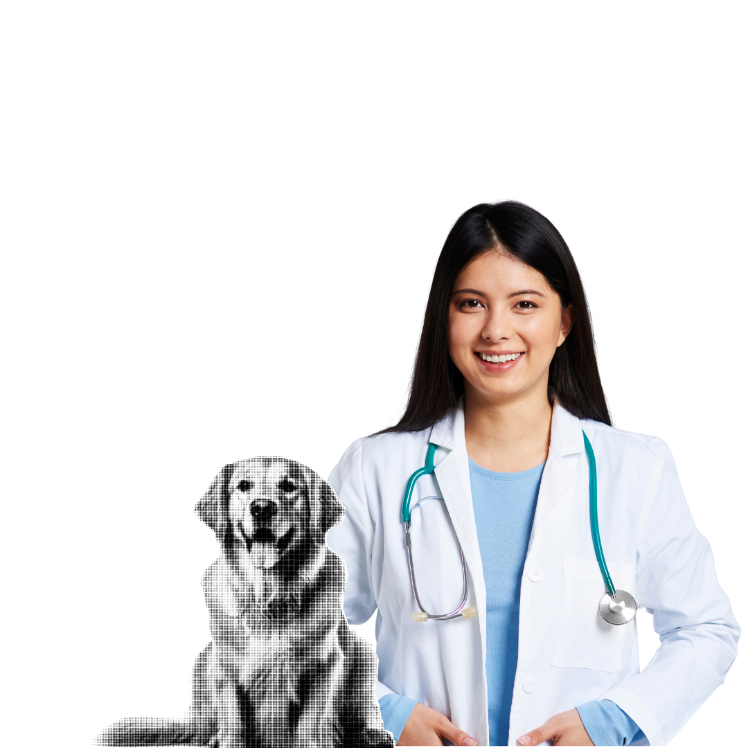 Preparatório para Residência 2026