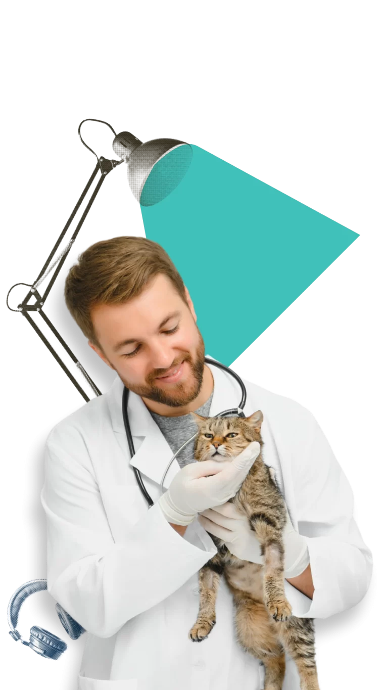 Preparatório para Residência 2026