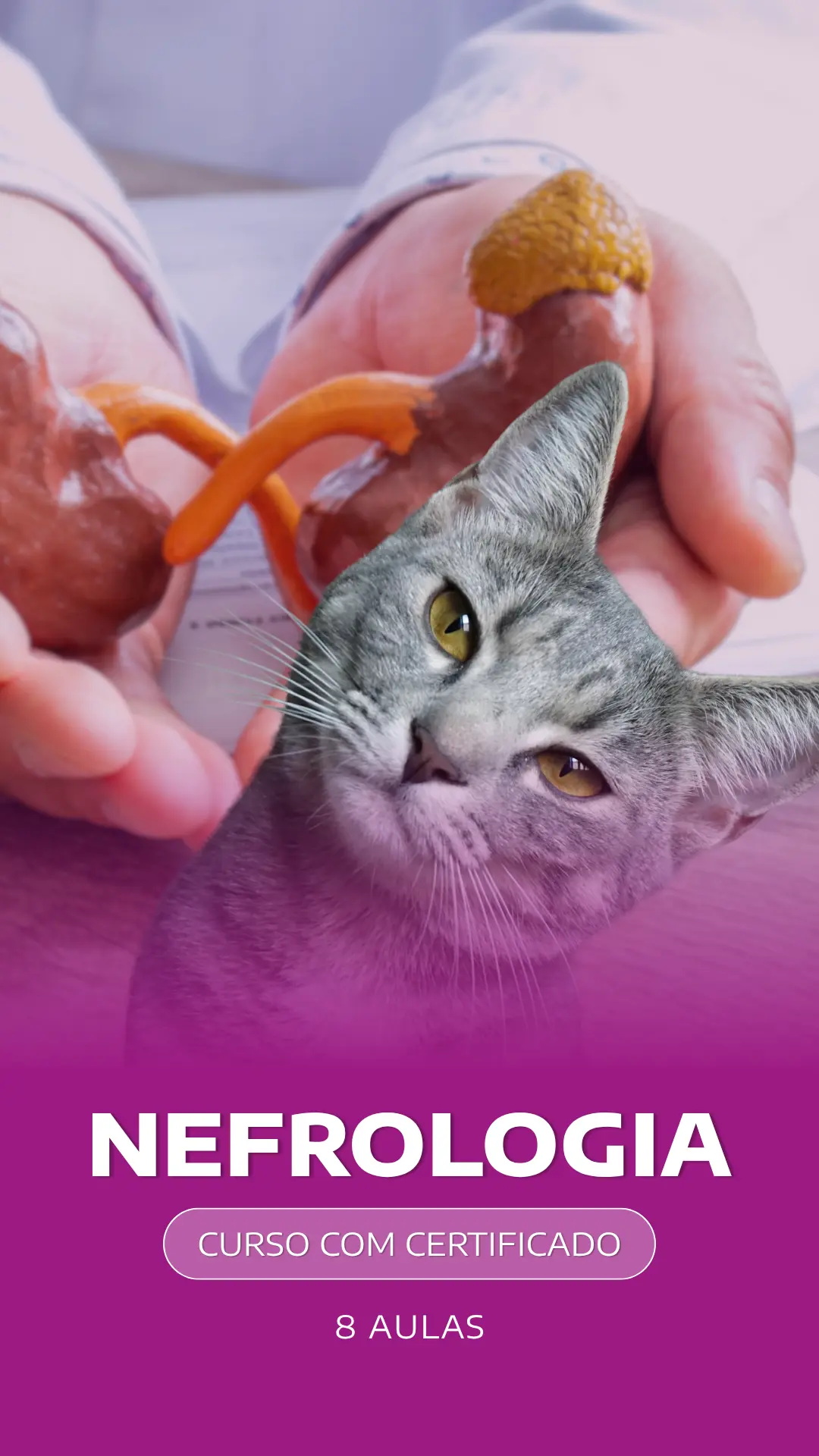 Curso VetEduka 12