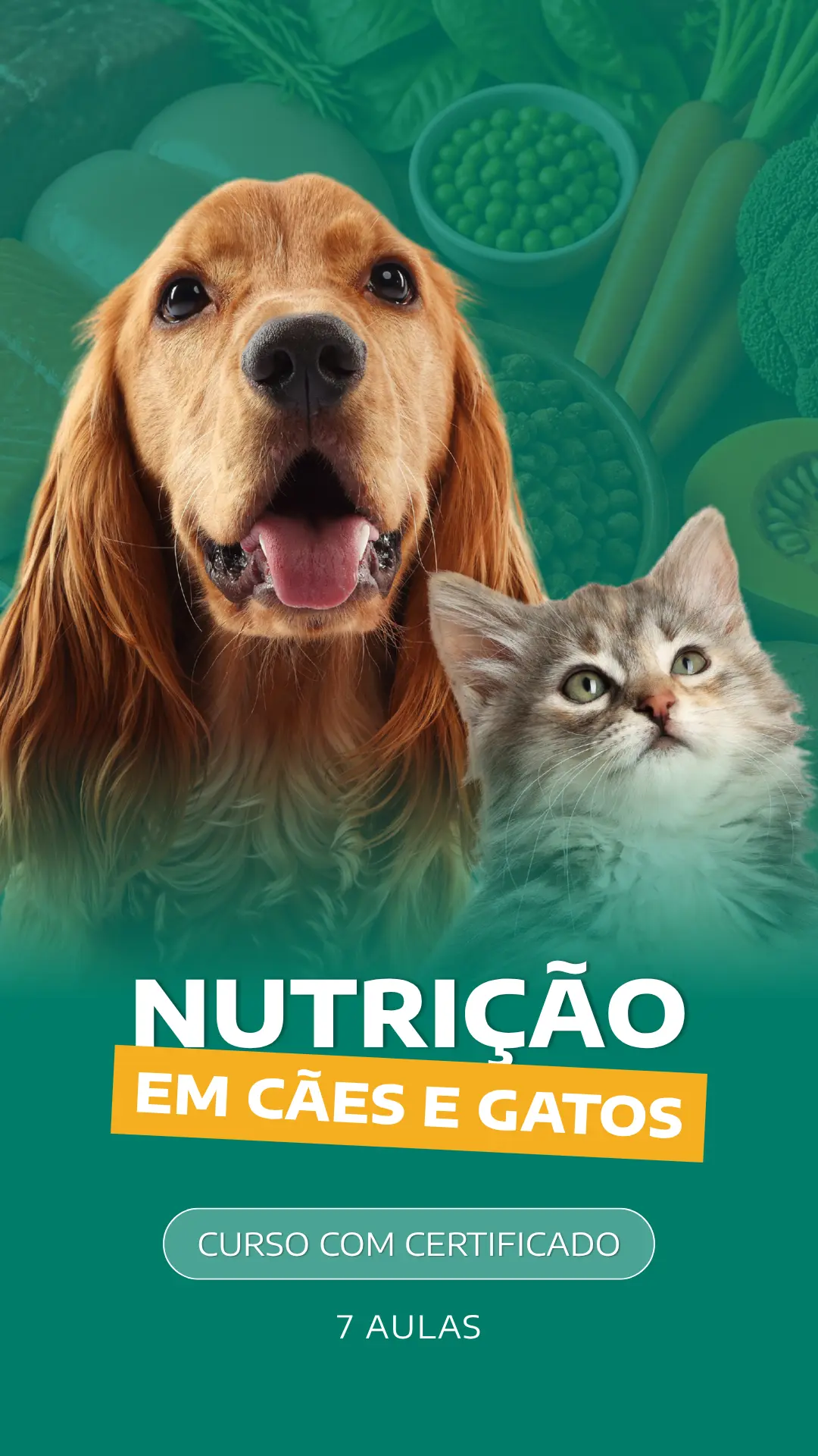 Curso VetEduka 15