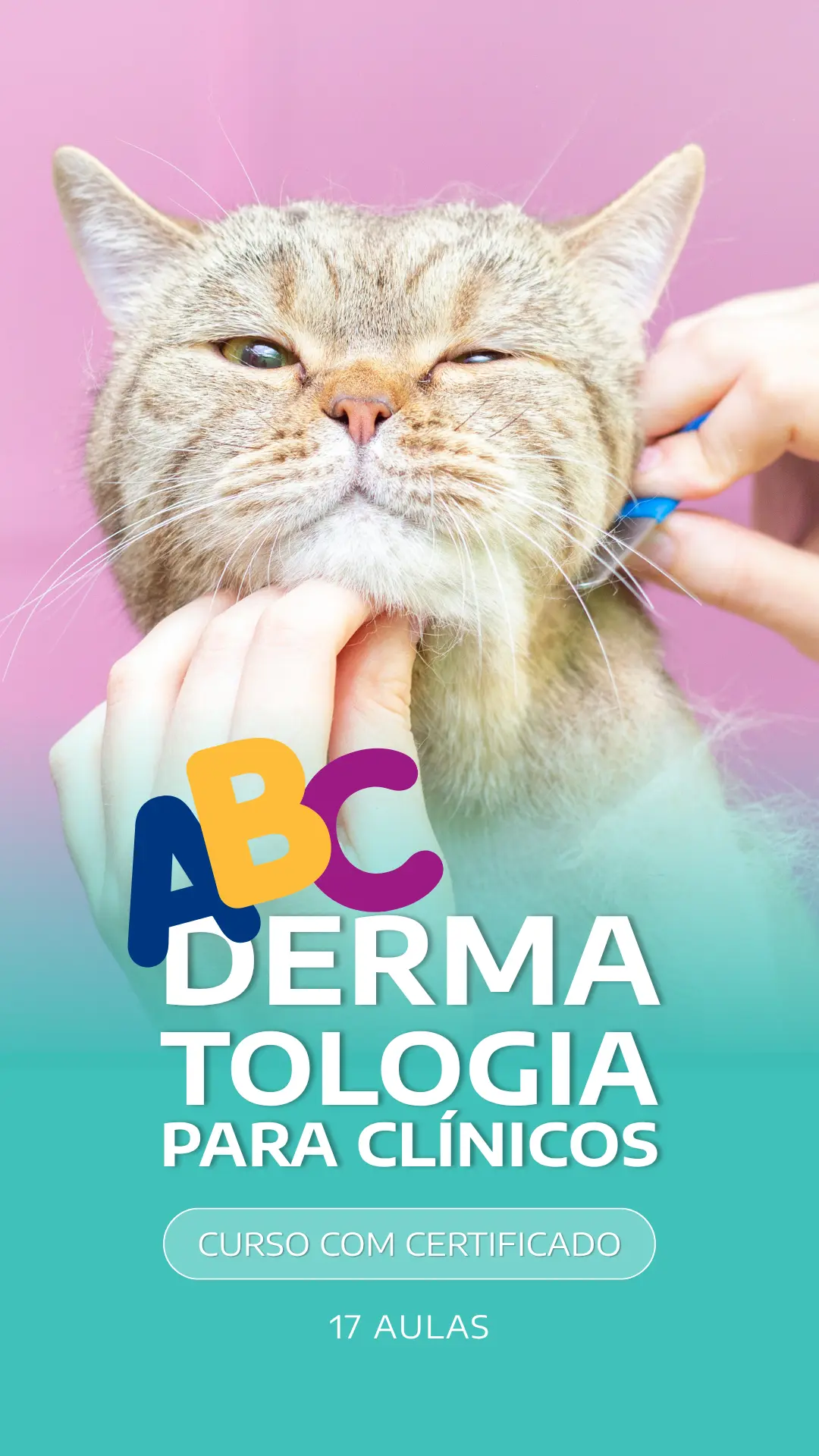 Curso VetEduka 17
