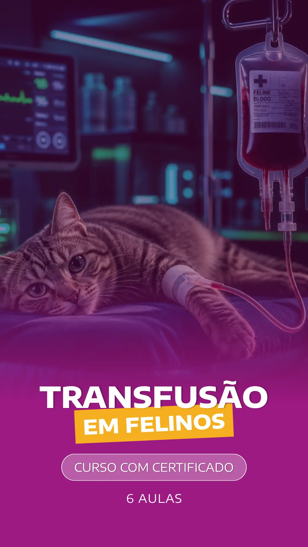 Curso VetEduka 18