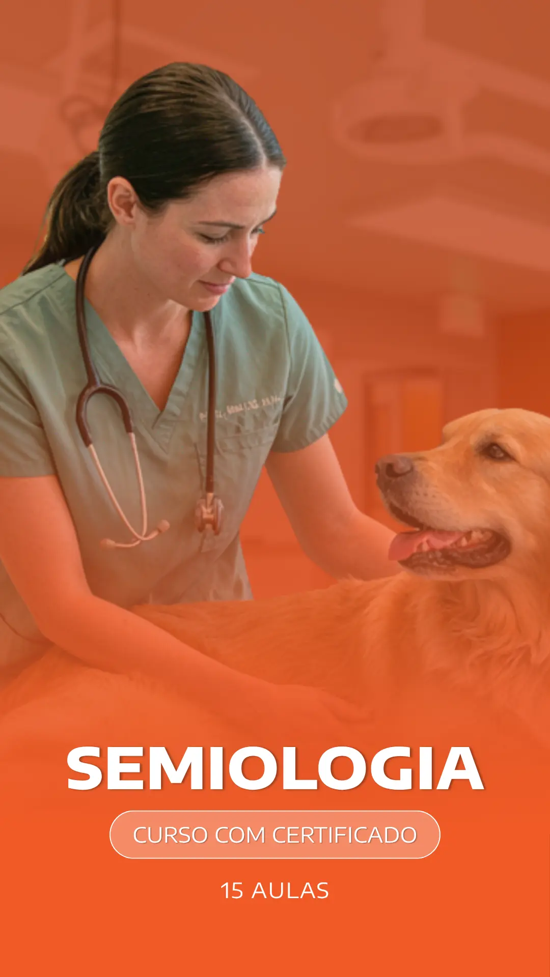 Curso VetEduka 3