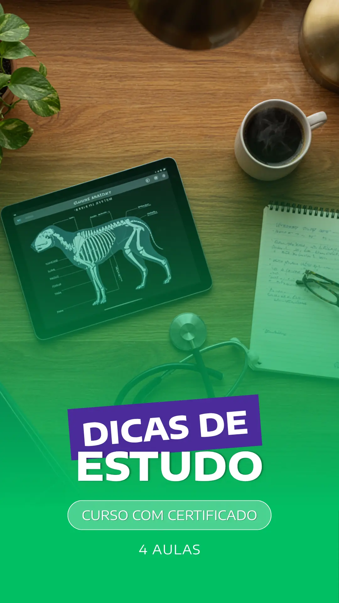 Curso VetEduka 4