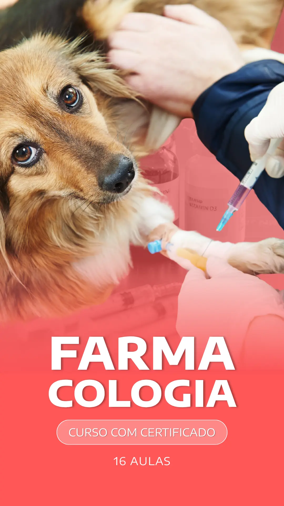 Curso VetEduka 5