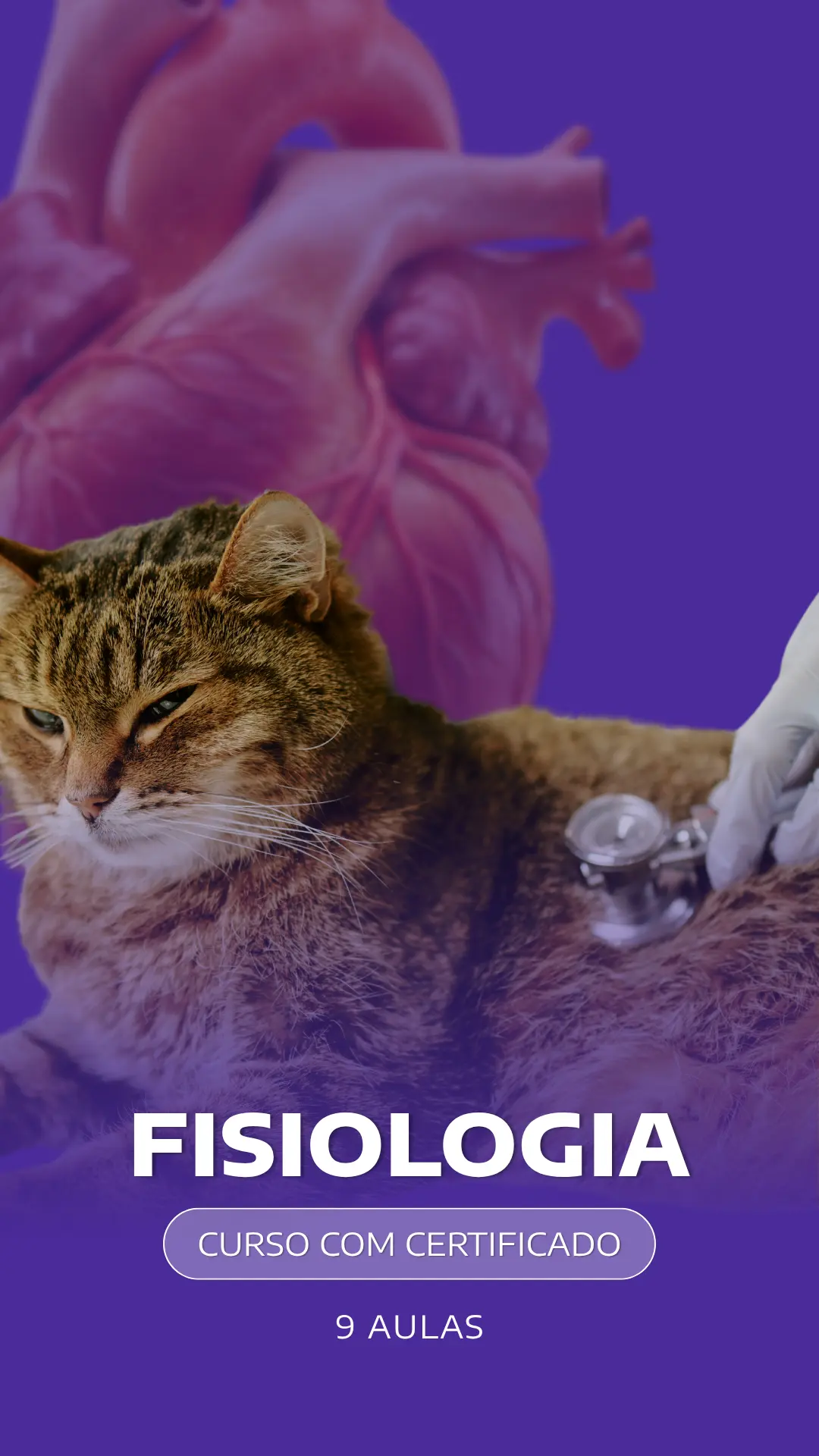 Curso VetEduka 6