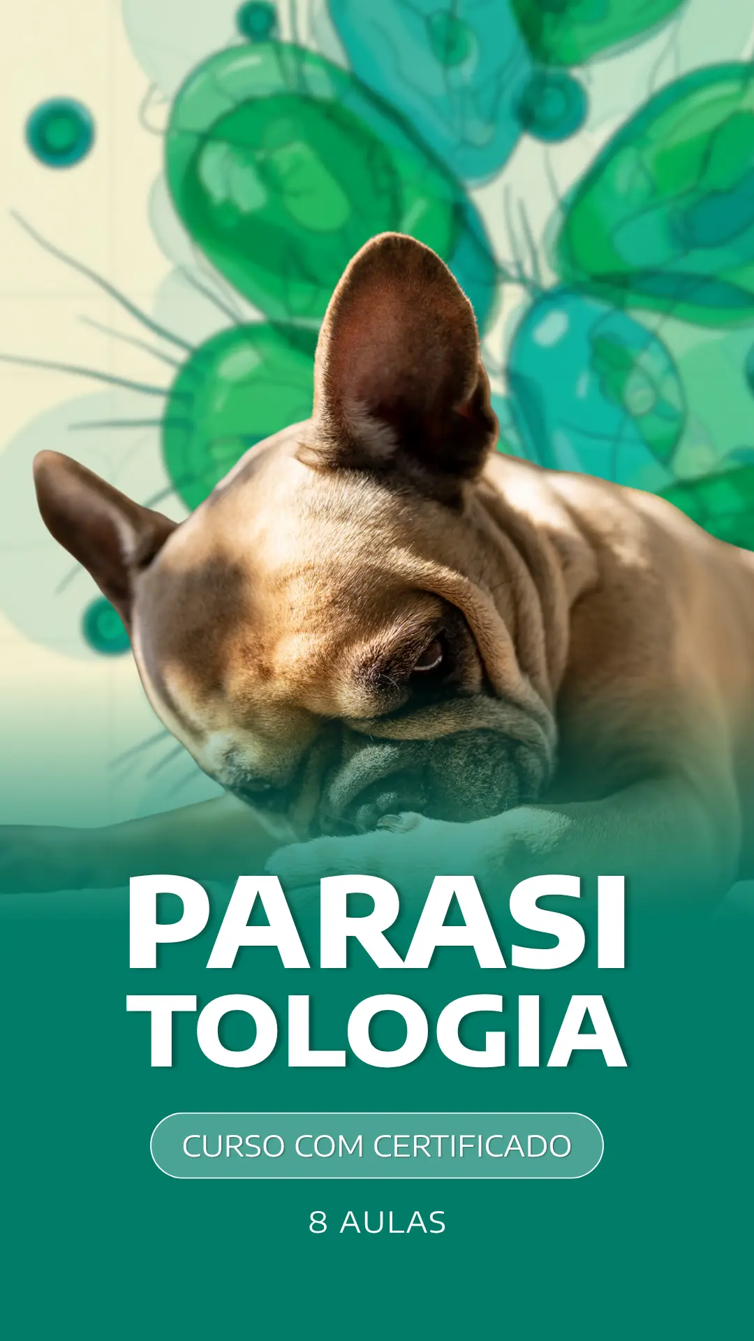 Curso VetEduka 7
