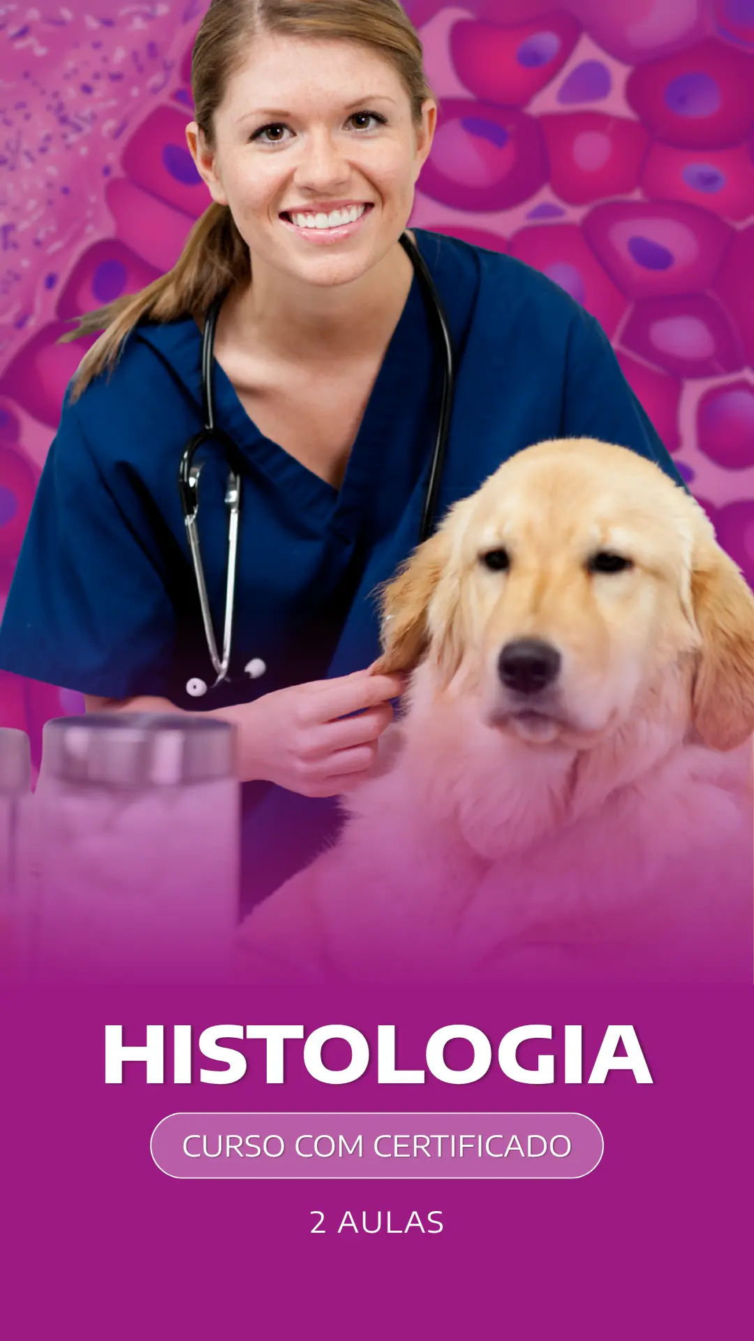 Curso VetEduka 8